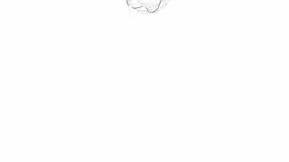 IbisPaintX разнообразим контент фурями