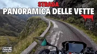The Panoramic Road of the Peaks: a journey through mountains, griffon vultures, and marmots #friu...