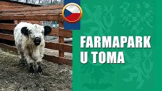 FARMAPARK U TOMA 🐃🐗🐑🐰🦆