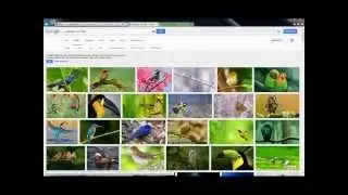 Tutorial Desktop Hintergrund ändern (PC Grundkurs)