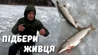 ПІДІБРАВ ЖИВЦЯ ТА ОДРАЗУ СПІЙМАВ. Зимова Риболовля Щуки на Жерлиці в Україні 2024