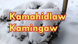 Kamahidlaw Kamingaw