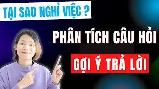 TẠI SAO BẠN NGHỈ VIỆC Ở CÔNG TY CŨ? NÓI THẬT HAY KHÔNG?!