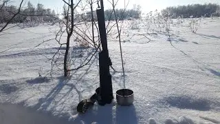 Охота с пневматикой и установка капканов