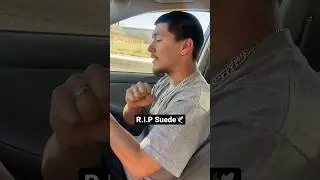R.I.P. Suede🕊️