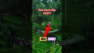 Bali swing cost breakdown 