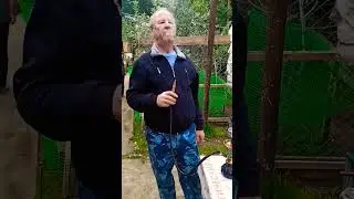 дед курит кальян