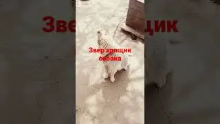 13 травня 2023 р.
