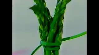 Dodge commercial from 2000
