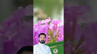 ദൈവത്തിനുമുന്നിൽ വിശ്വസ്ഥതയോടെ നിൽക്കാം നമുക്ക് | 😇  | Rev. Aneesh P Joseph | #shorts #motivation