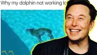 Elon Musk Hosts Meme Review (Full Clip)