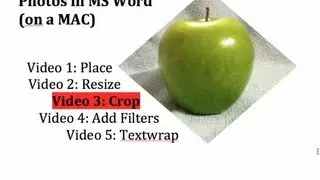MS Word - 3 - Crop a Photo Image