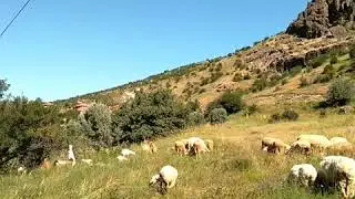 Mera 2