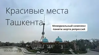 Moving to Uzbekistan | Tashkent | Walk around Tashkent 