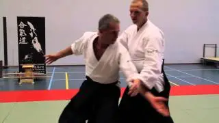 3 Countries Seminar - German Sensei 5th Dan Stefan Leiendecker