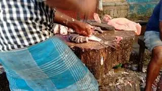 Fastest Fish Cutter - Thanjavur Main Fish Market