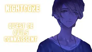 Nightcore  Quest ce quils connaissent