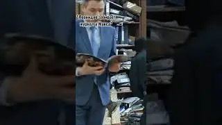 Пёс смешные моменты 
