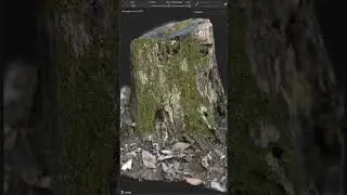 Growing moss in Substance Painter