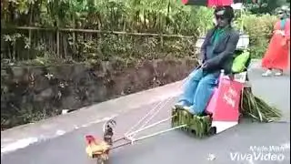 Free Chicken Rides in Western Kenya