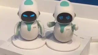 #705 Выставка роботов в Казани