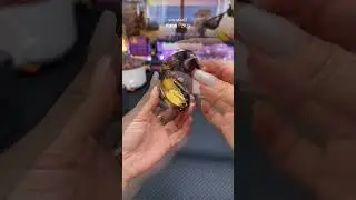 smart