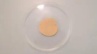 Polymerisation - Science@Home