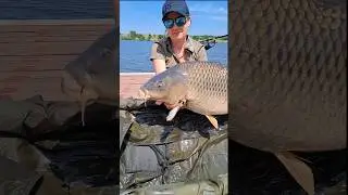 Карпфішинг #carpfishing