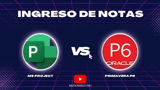 ¿Cómo ingresar notas a las actividades? | 💻 MS PROJECT VS PRIMAVERAP6