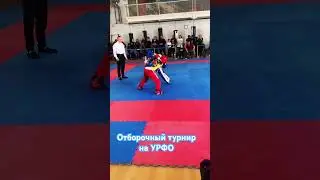 17 февраля 2024 г.