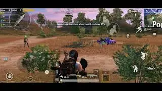 Pan Fight Pubg Winner winner Chicken dinner