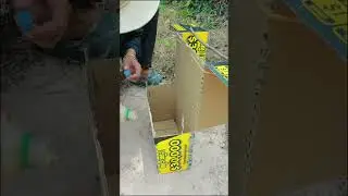 Unique bird trap using cardboard box 