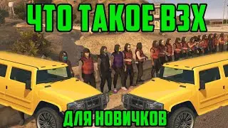 ЧТО ТАКОЕ ВЗХ ДЛЯ НОВИЧКОВ GTA 5 RP STRAWBERRY | VINVEWOOD | DOWNTOWN | SUNRISE