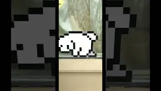 I put an 8bit dog emoji sticker on my window. 