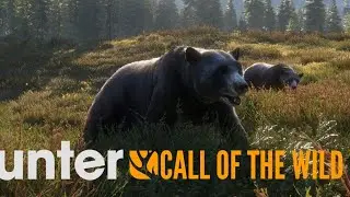 Hunter Call of The Wild
