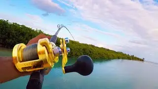 UNTOUCHED Fishing Paradise (Yucatán Tour Pt.1)
