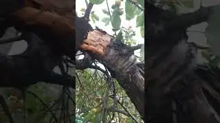 Вот и все над лом