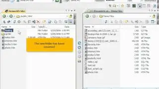 FTP - Managing files in SmartFTP