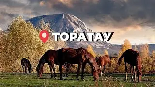 Шихан Торатау Октябрь 2022