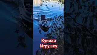 Купили Игрушку.