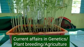 Current affairs in Plant Breeding, Genetics and Agriculture
