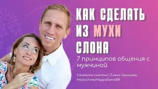 Как сделать из мухи слона — 7 принципов общения с мужчиной