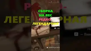 СОБРАЛ РЕДКО ЛЕГЕНДАНУЮ СБОРКУ В СТАЛКРАФТ 