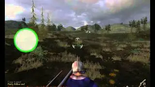 Mount and Blade:With Fire and Sword Line Battle part 2