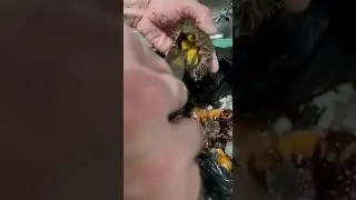 Вкусняхи Севера.