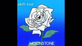 White Rose | MOONSTONE 