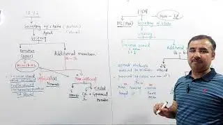 Lecture pakistan affair minto morely reforms