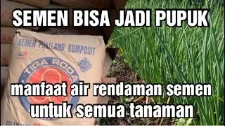 CARA MELARUTKAN KALSIUM SILIKA PADA RENDAMAN SEMEN DAN CARA PENGAPLIKASIAN PADA TANAMAN