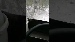 Вездеход ТДН, лес, весна, начало паводка.