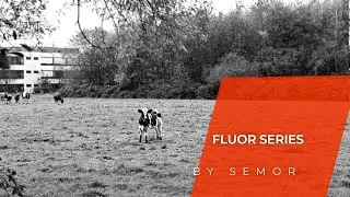 Fluor Series by SEMOR